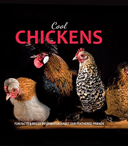 [9780785834502] Cool Chickens