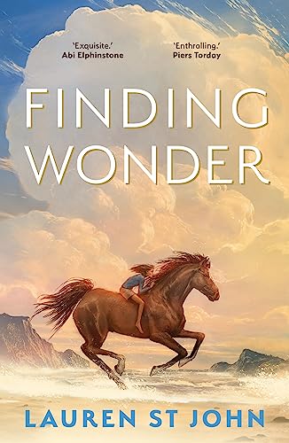[9780571376162] Finding Wonder