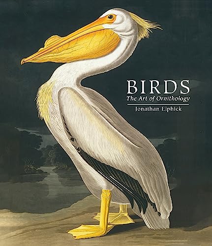 [9780565095512] Birds: The Art of Ornithology
