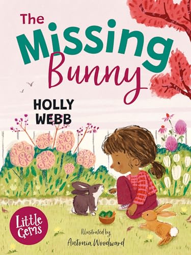 [9781800902411] The Missing Bunny (Barrington Stoke)