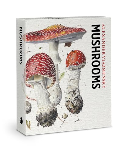 [9781087510309] Mushrooms knowledge cards