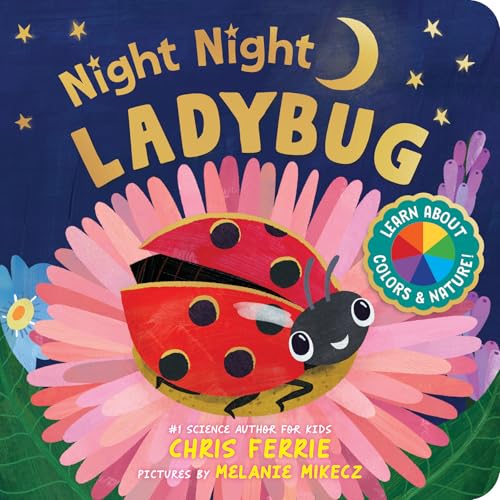 [9781728297507] Night Night Ladybug