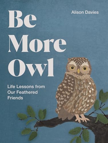 [9781837834068] Be More Owl