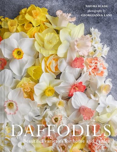 [9780008662707] Daffodils - Beautiful Varieties for Home and Garden