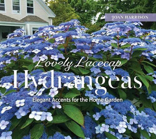 [9780764368967] Lovely Lacecap Hydrangeas: Elegant Accents for the Home Garden