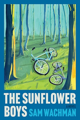 [9780063476714] The Sunflower Boys: A Novel