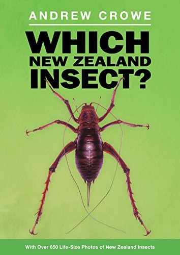 [9780141006369] Which New Zealand Insect?