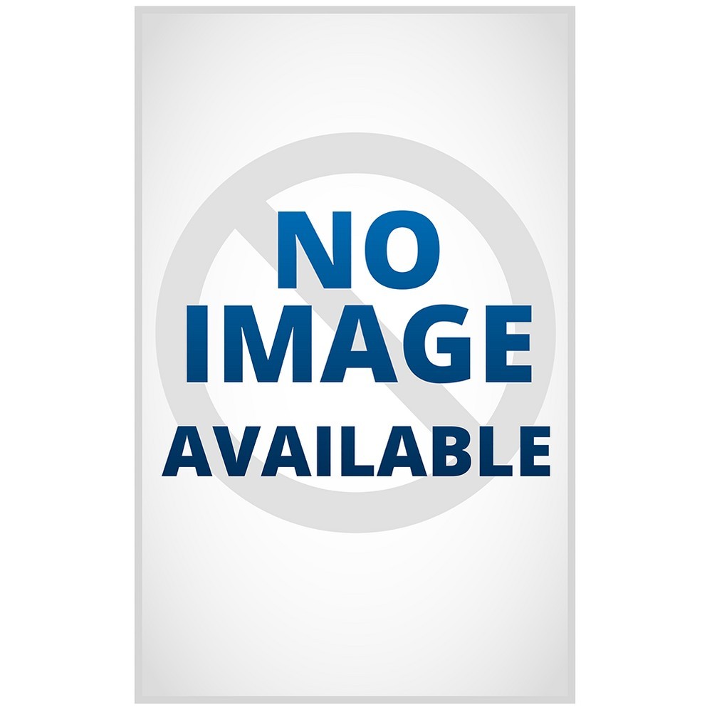 Paris Every Day - by Rebecca Plotnick (Hardcover)