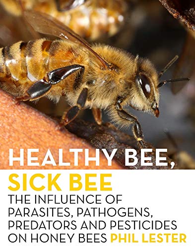 [9781776564057] Healthy Bee, Sick Bee
