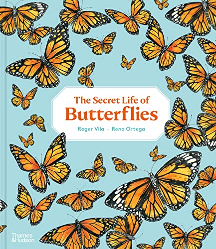 [9780500653012] The Secret Life of Butterflies