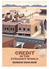 [9780473319106] Credit in the Straight World